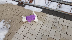 20170205 113358