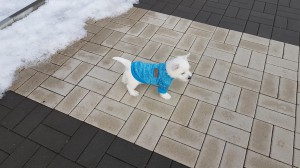 20170205 113406